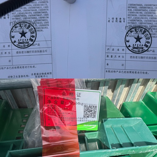微信图片_20260318205542_336_33.jpg 微信图片_20260318205542_336_33.jpg