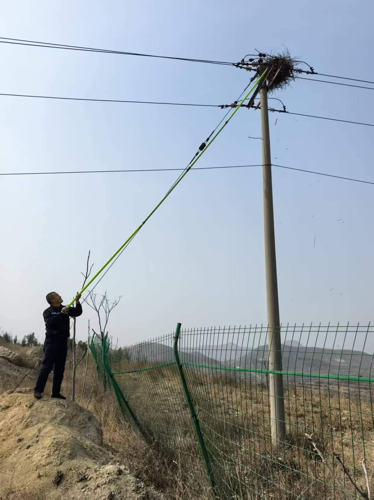 清理鸟窝.jpg