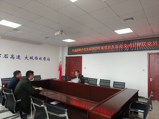 4.组织生活会及民主评议党员.jpg